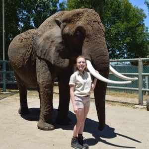 Meet your Posher, Abigail